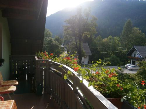 Apartment Zvan in Bohinji-tó