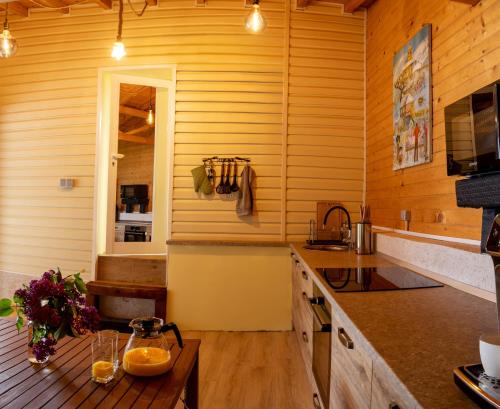 廚房, Guest House Galabnik, Bulgaria in 杜普尼察