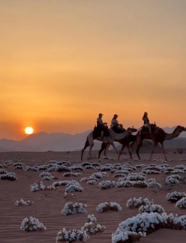 Wadi Rum Lawrence Camp photo