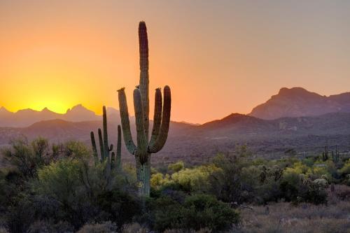 Aloft Scottsdale