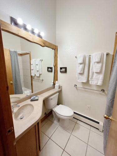 Cabin Suite in Woodland Park, USA