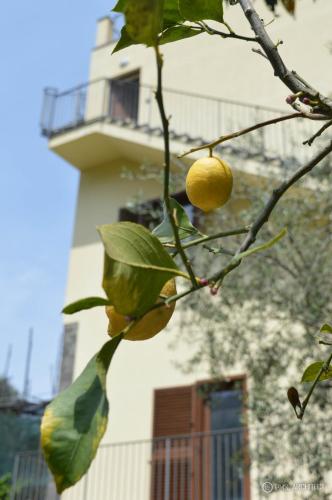 Il Rivolo – Sorrento, CO