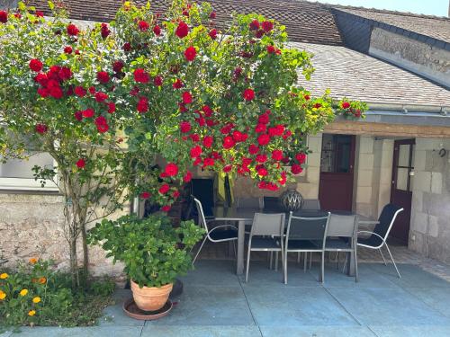 Le Clos des Buis 2 gîtes 6CH 4 SDB 4 WC (Le Clos des Buis 2 gites 6CH 4 SDB 4 WC) in Veretz