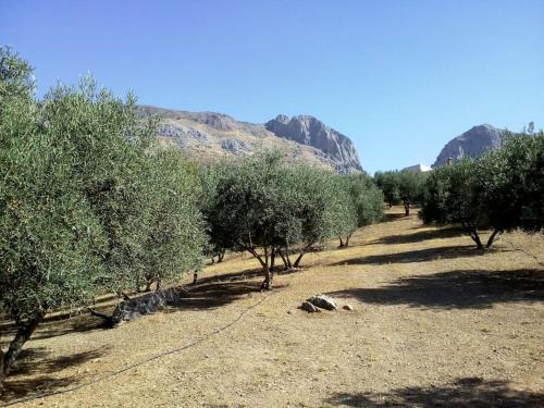 Apkārtne, El Ventorrillo la alegría (El Ventorrillo la alegria) in Pilarejo