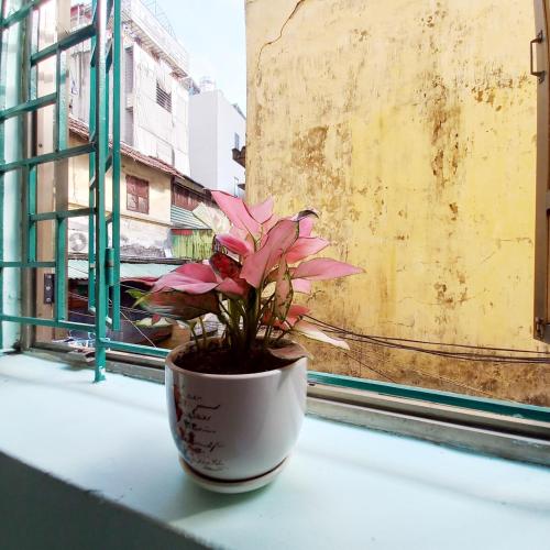 Hanoian Homestay