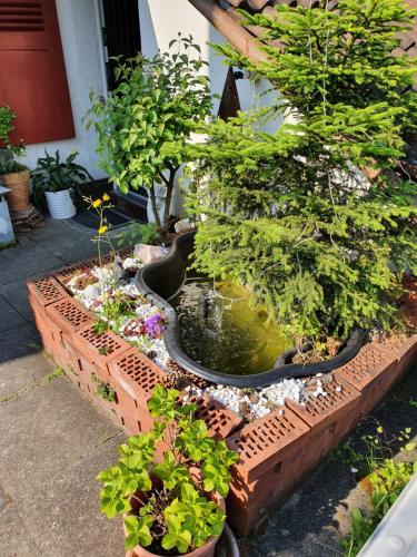 BnB Haus Weibel 5