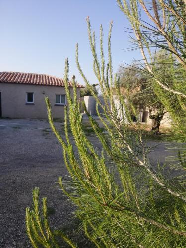 Maison du causse in Magalas