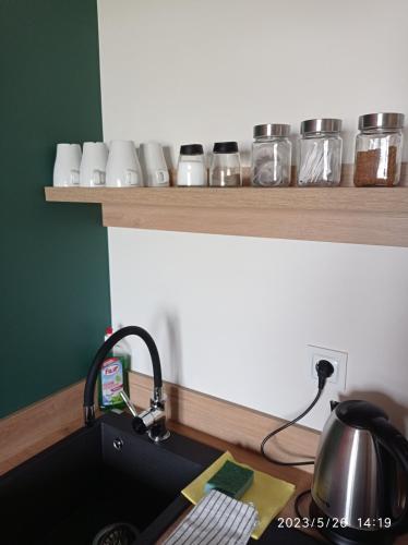 Loft Park Zator, lokalizacja przy wej Parku