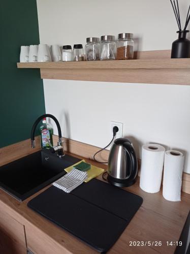 Loft Park Zator, lokalizacja przy wej Parku