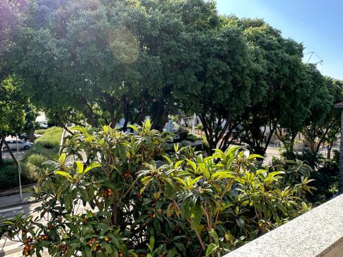 Apartman Vesna, Split (photo 10)