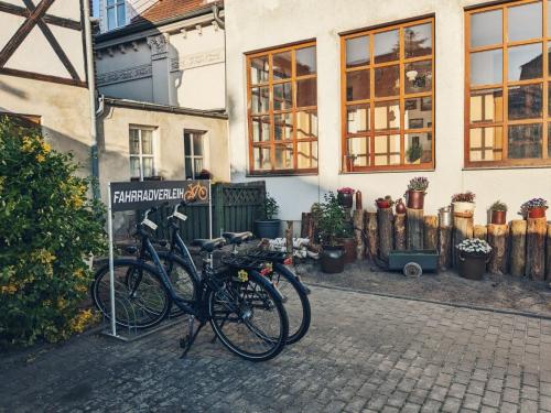 Sport és szabadidő, ANKER in Klietz