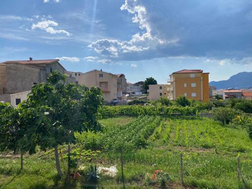 M&M Spalato residence M&M Spalato residence