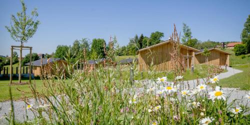 Euler Neuschönau Naturhotel - image 10