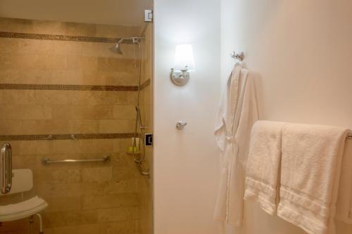 ル メリディアン メキシコ シティ