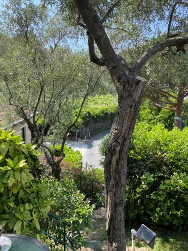 Hotel Villa Belvedere - image 6