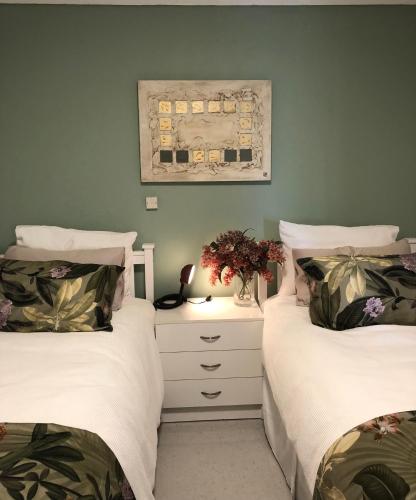 Moonlight stay, Auckland (photo 9)