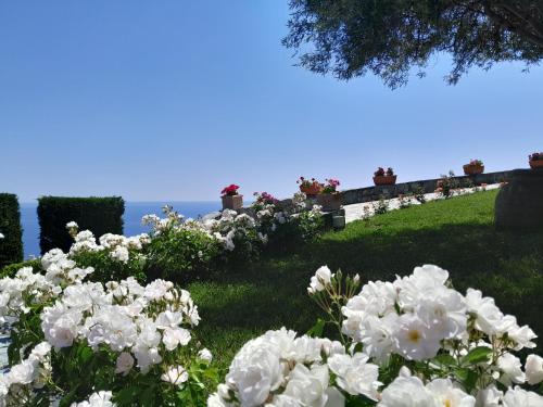 VILLA AGA, Noli (fotografie 5)