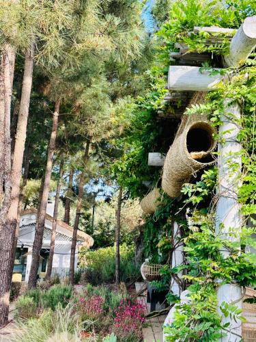 Cabana Lavanda Comporta