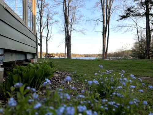 Archie's Lakeside Cabin