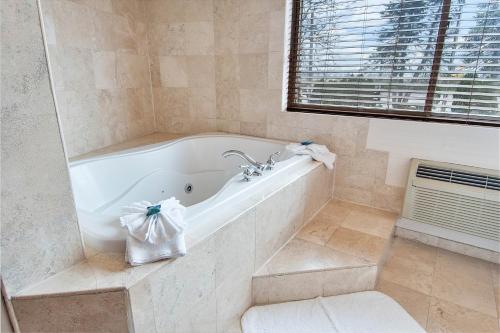 حمام, Best Western Premier Plainview-Long Island Hotel in Plainview