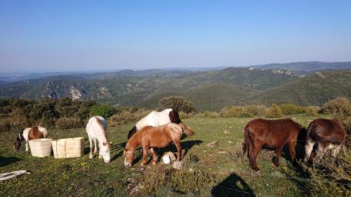 La Petite Bergerie - Gîte à la Ferme