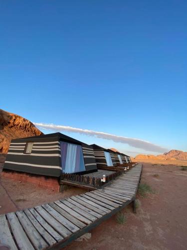 Discover the life of Wadi Rum photo