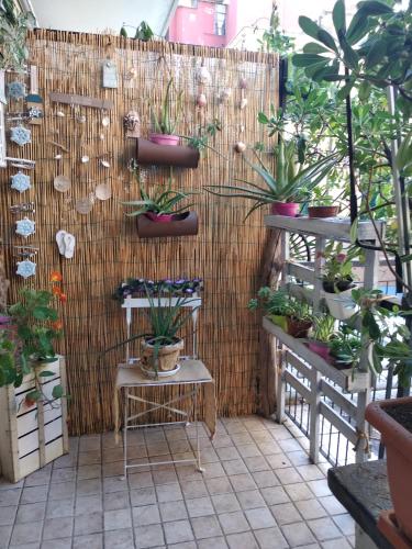 La Casetta - Near the sea & free parking, Rapallo (foto 5)