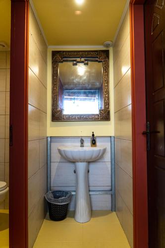 Chania City Hostel & Tours - image 5