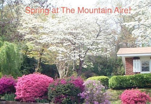 Mountain Aire Cottages & Inn, Clayton