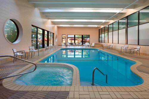 Swimming pool, Four Points by Sheraton Toronto Airport in Mississauga (ON)