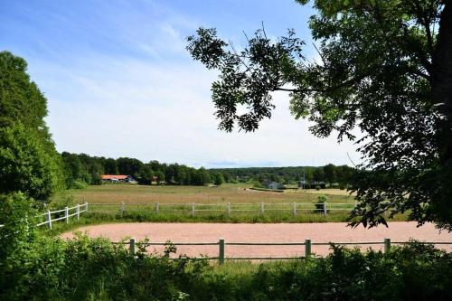 Cottage for visiting sea, city, forest in Holm