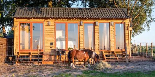 La vie en Rose - Pet friendly Tiny house in the nature with fenced garden gîte à louer Vijfhuishoek