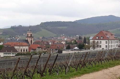 Gîte du forgeron - 6 à 8 personnes - Centre Alsace - Saint-Hippolyte