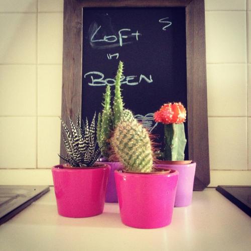 Loft l'Alessandra 1