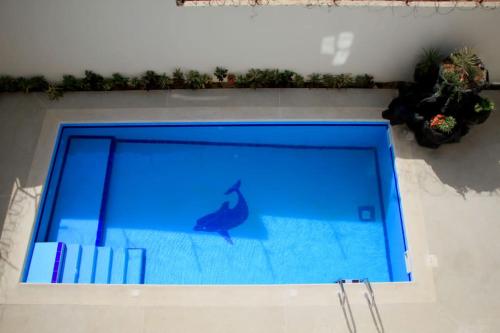 SembLocVilla