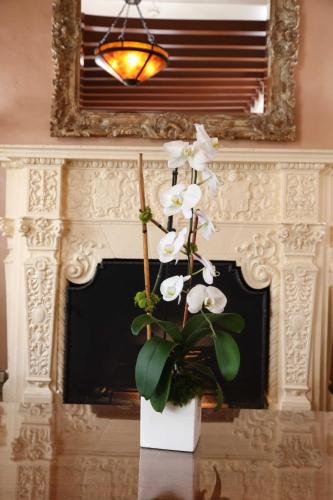 Facilities, Hotel Carmel in Santa Monica