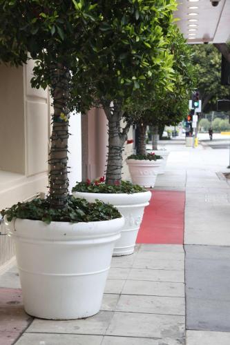 Hotel Carmel Santa Monica, Лос-Анджелес