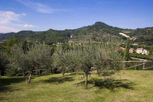 Villa dell'Ovo - image 6