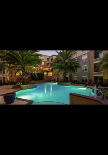 Luxury Apt Texas Medical Center (Domain @ Kirby)
