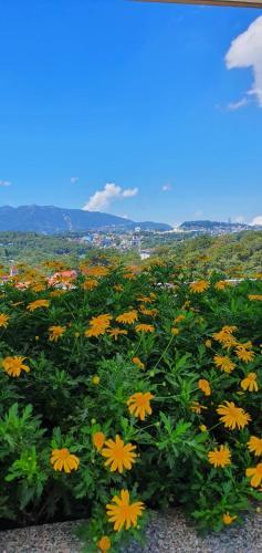 JCGA Apartments at Bristle Ridge Condominium Near Botanical Garden and The Mansion near เดอะแมนชั่น