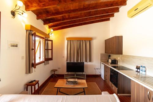 Steni Traditional Studio Apartment