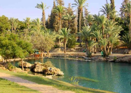 חדר סטודיו בסגנון נורדי in Beit Shean