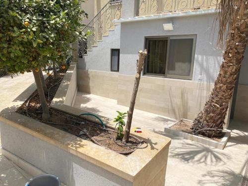 בוטיק צ'יל אאוט - Boutique Chill Out, Eilat (foto 8)