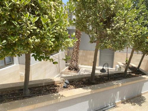 בוטיק צ'יל אאוט - Boutique Chill Out, Eilat (foto 9)