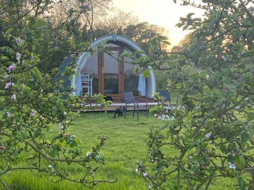 Orchard Luxe Glamping Pod