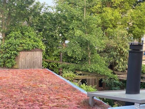 Huisje Vivaldi in Pettelaarpark