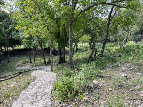 Cypress Star in Bandera