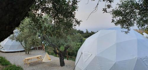 luxury dome tents ikaria ap'esso2