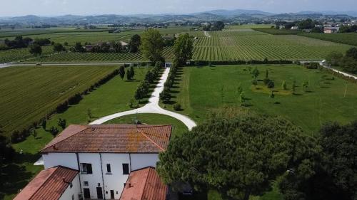  Villa Archi in Faenza