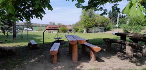 Omgeving, Ubytování Na sklepě u Procházků (Ubytovani Na sklepe u Prochazku) in Strachotin